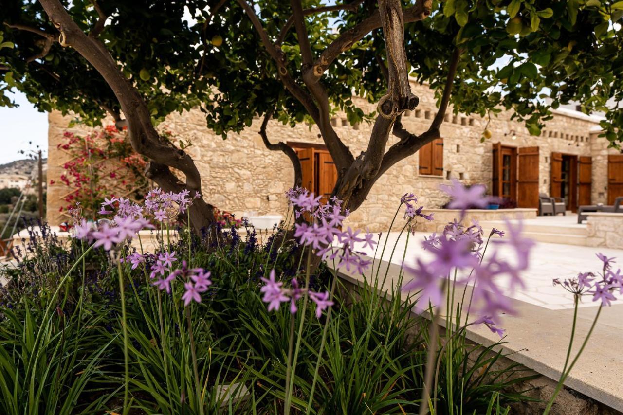 Harma Traditional Boutique Suites بافوس المظهر الخارجي الصورة